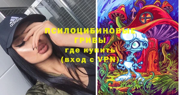 ешки Абинск