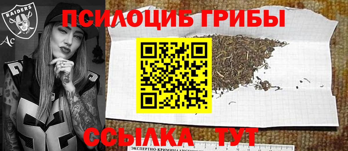 Галлюциногенные грибы Psilocybine cubensis Норильск
